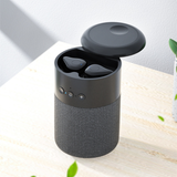 2 in 1 Bluetooth speaker with earbuds